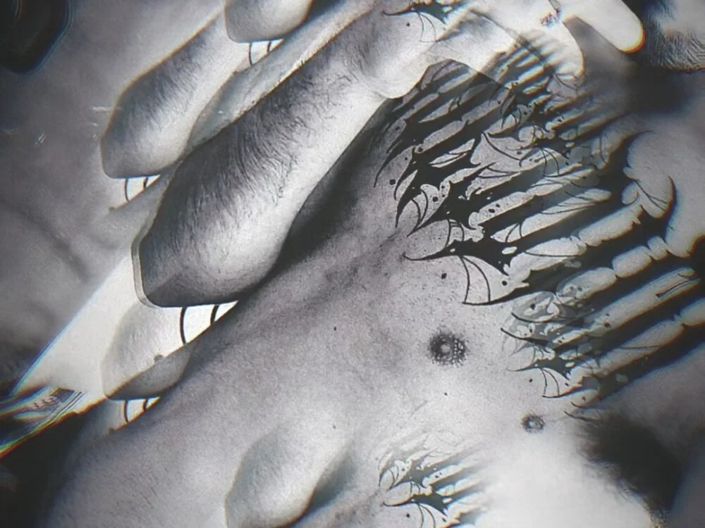 Chat +18 off-line de ch4os666