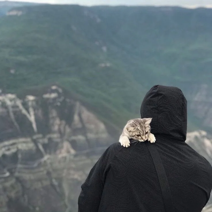 Czat XXX offline – pervysluty