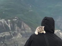 pervysluty Chat XXX live