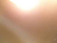 anuu77