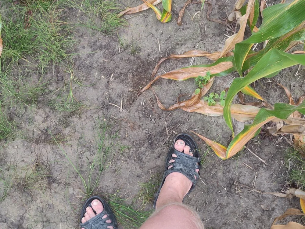 Offline XXX chat modela Cahasa20