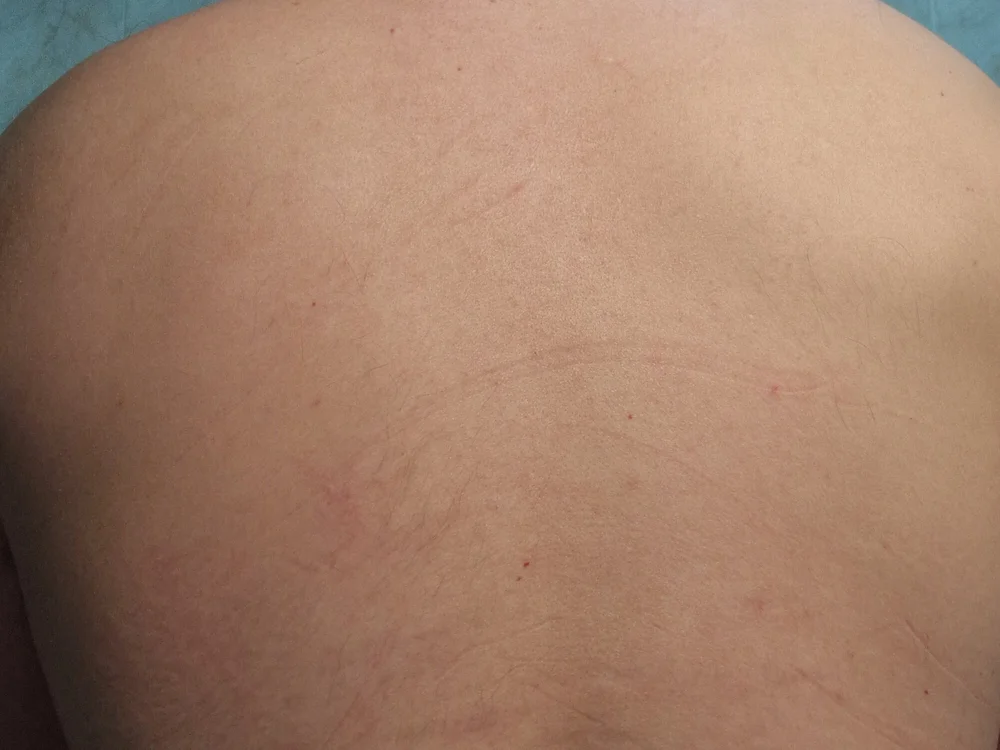 lukas199006 离线XXX聊天