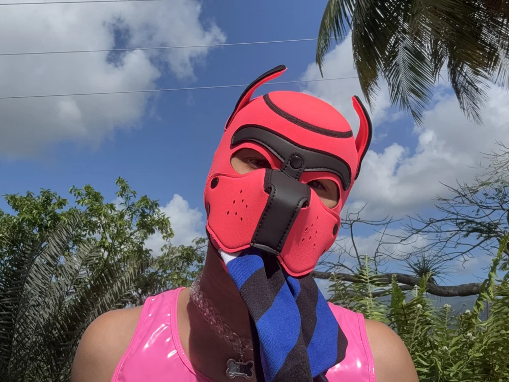 kaithepup offline chatrum