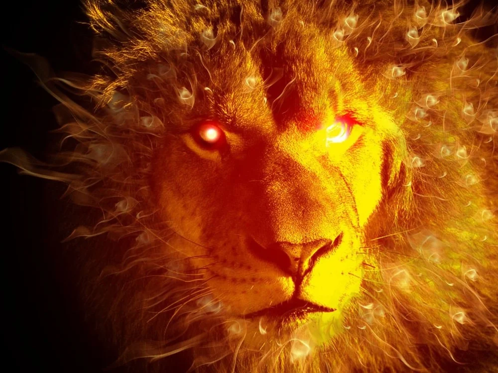 Lionxcash offline chatrum
