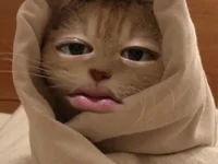 kaikaimandayonn webcam thumbnail