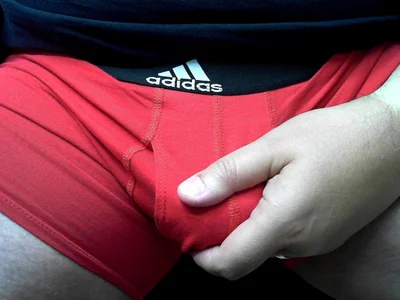 co_bra_99