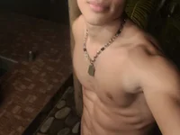 Модель Babylin77