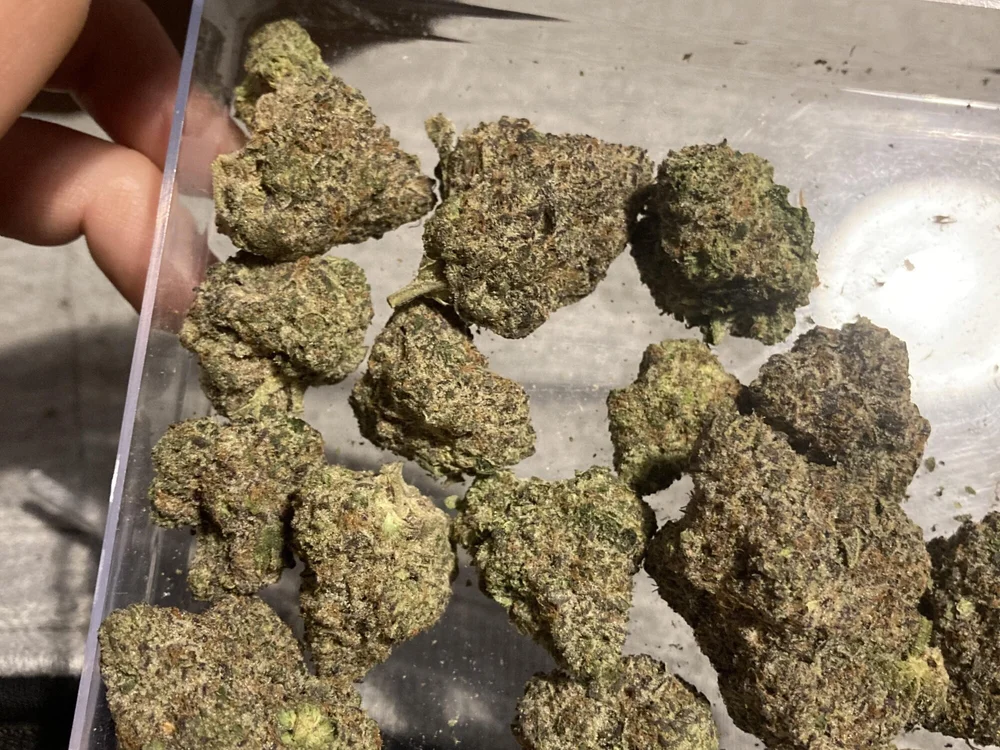 Offline XXX chat modela bigben20cmm