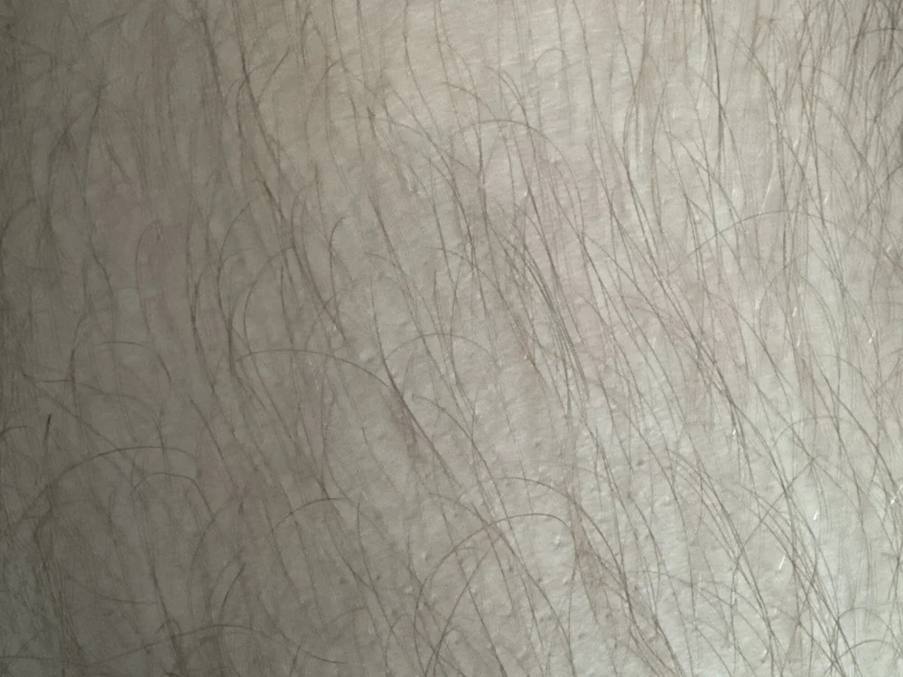 دردشة camci-10 الجنسية دون اتصال