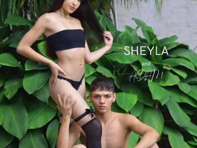 sheylawood profile