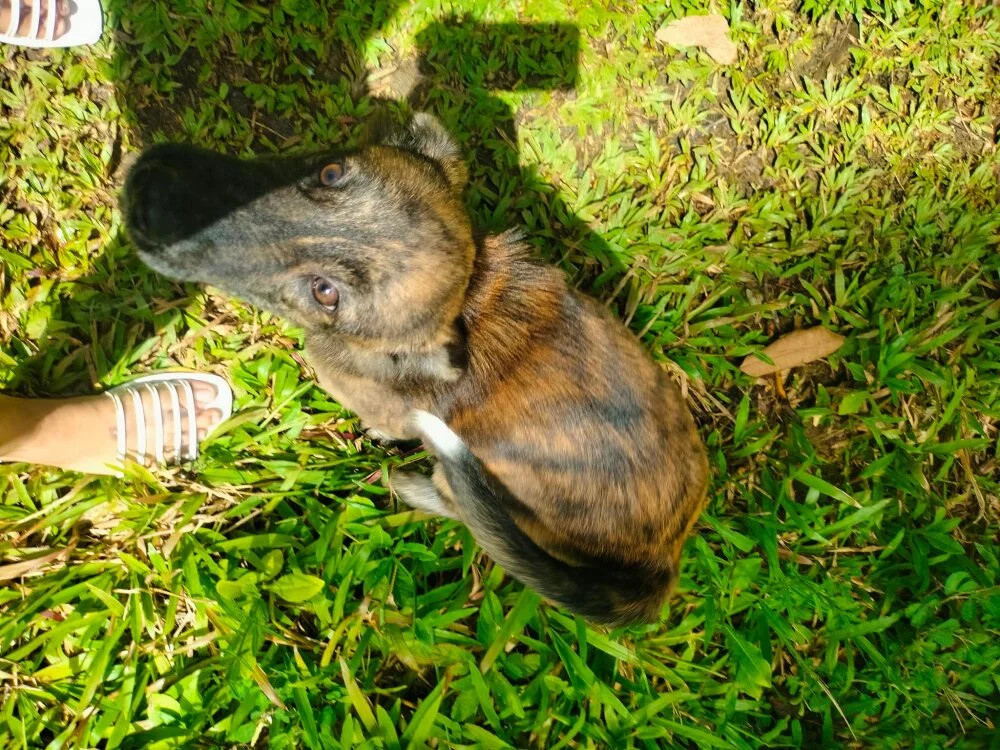 Chat XXX offline de Raquel789