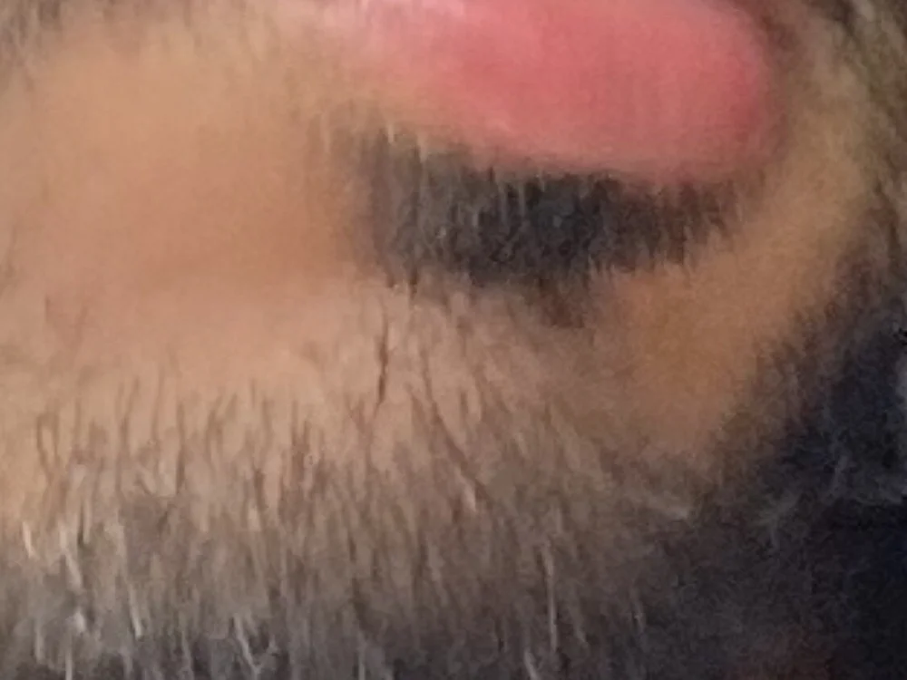 gabrielrj