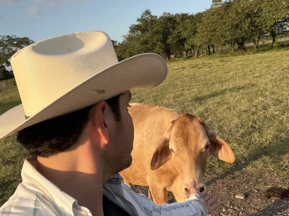 แชท XXX ออฟไลน์ของ russo_199