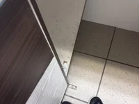 THATHAIRYTALLDUDE live cam profile - MySuperHot