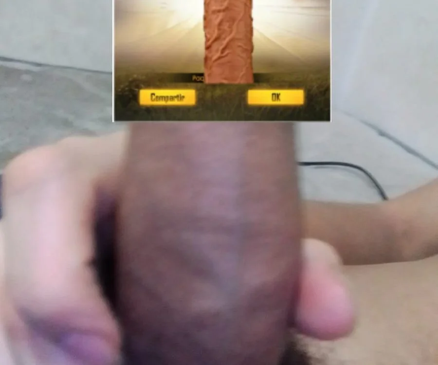 barktolomeo offline chatrum