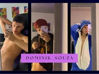 Model Dominik_Souza