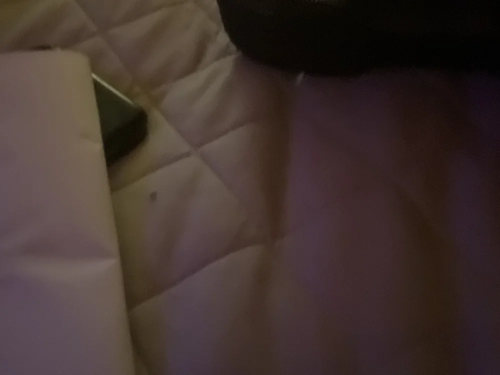 cum2citall offline chatrum
