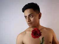 Модель Lucii_fer_