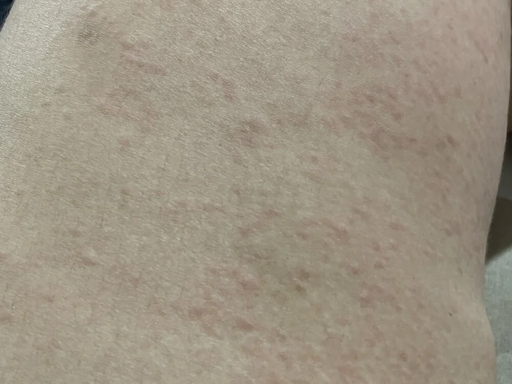 Paula_102 Chat XXX offline