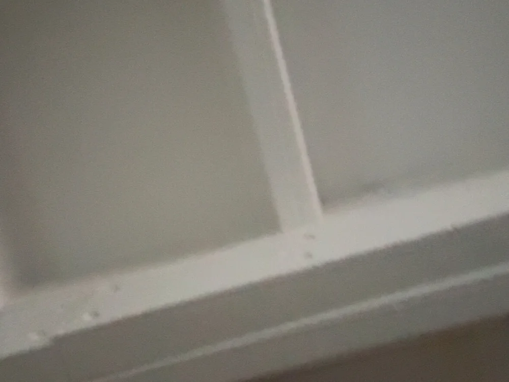 xxanna_ offline chatrum