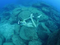 Модель jungleangel