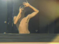 Модель zeclex2