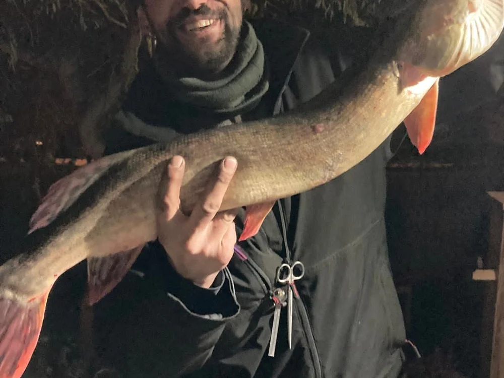 medaci 離線 XXX 聊天