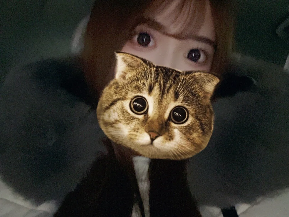 misa_misa_jp offline chatrum