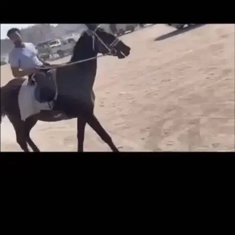 Chat XXX offline de lenfer_lafer