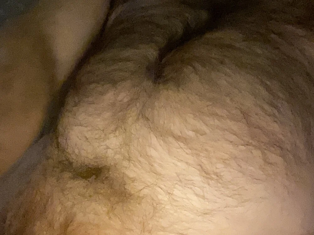 Homohard2n Offline XXX chat