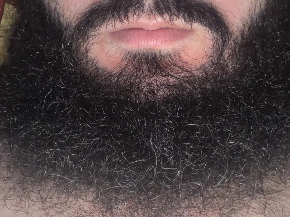 hasan3811 offline XXX-chat