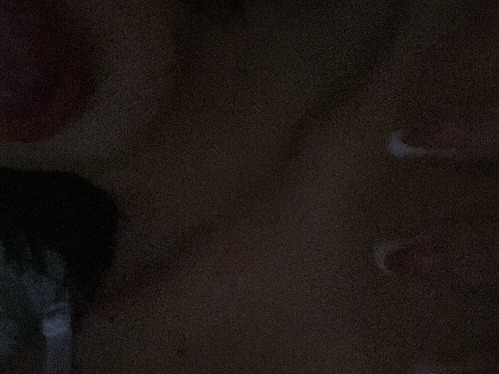 gatinholl Chat XXX offline