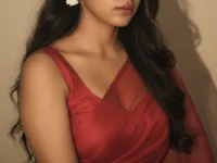 Модель somi-singh