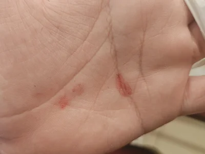 cearense12cm profile