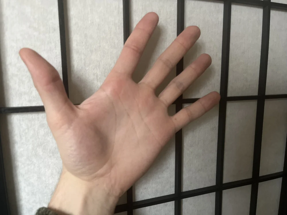 BrickSteves' Offline XXX Chat