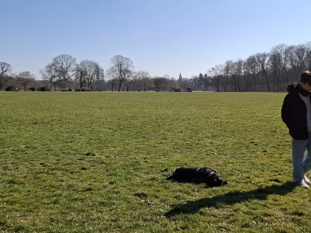 Offline XXX chat modela Marc_2024