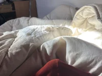 laroutine56backk's webcam live show