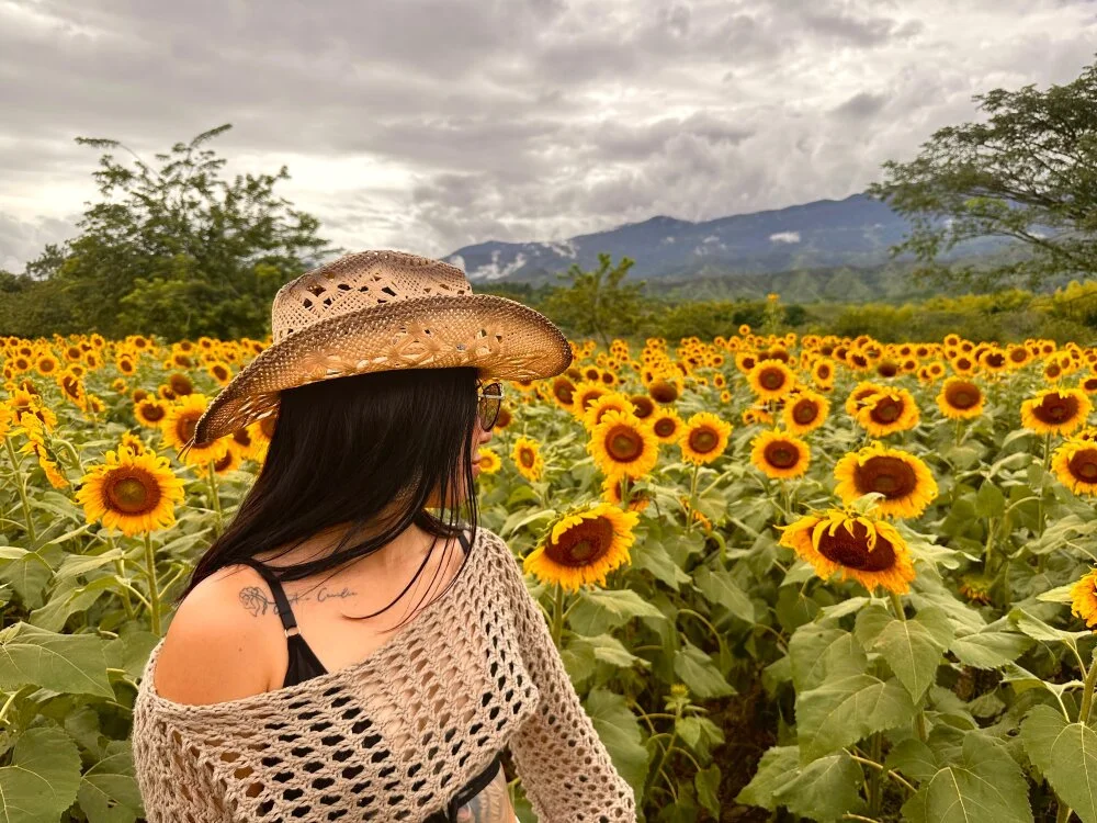 Maddie_fields Offline XXX Chat