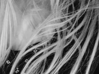 SexyBlondMia live cam profile - MySuperHot