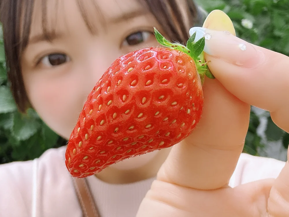 anchan_ 오프라인 XXX 채팅