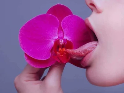 Rising_Smiler profile