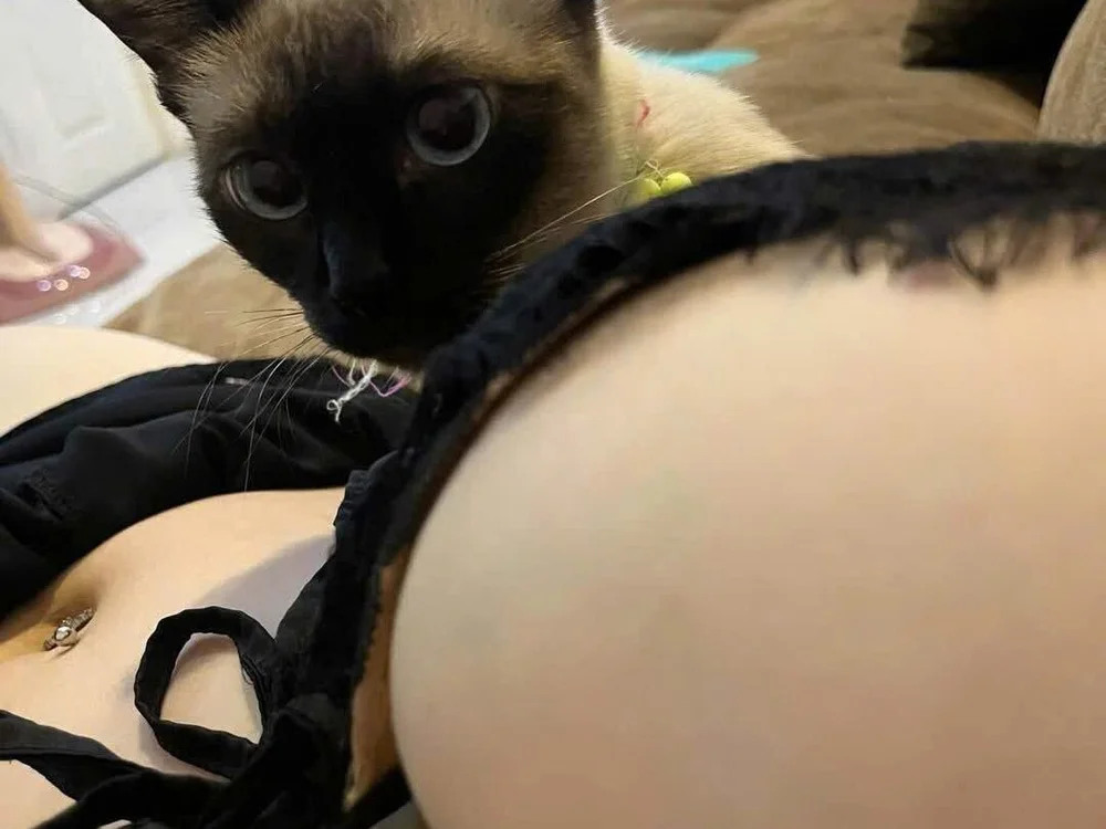 Celine_01 Obrolan XXX Offline