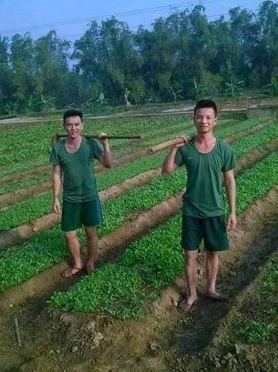 parozamzam 离线XXX聊天