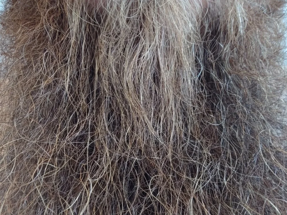 Bart-man84's Offline XXX Chat