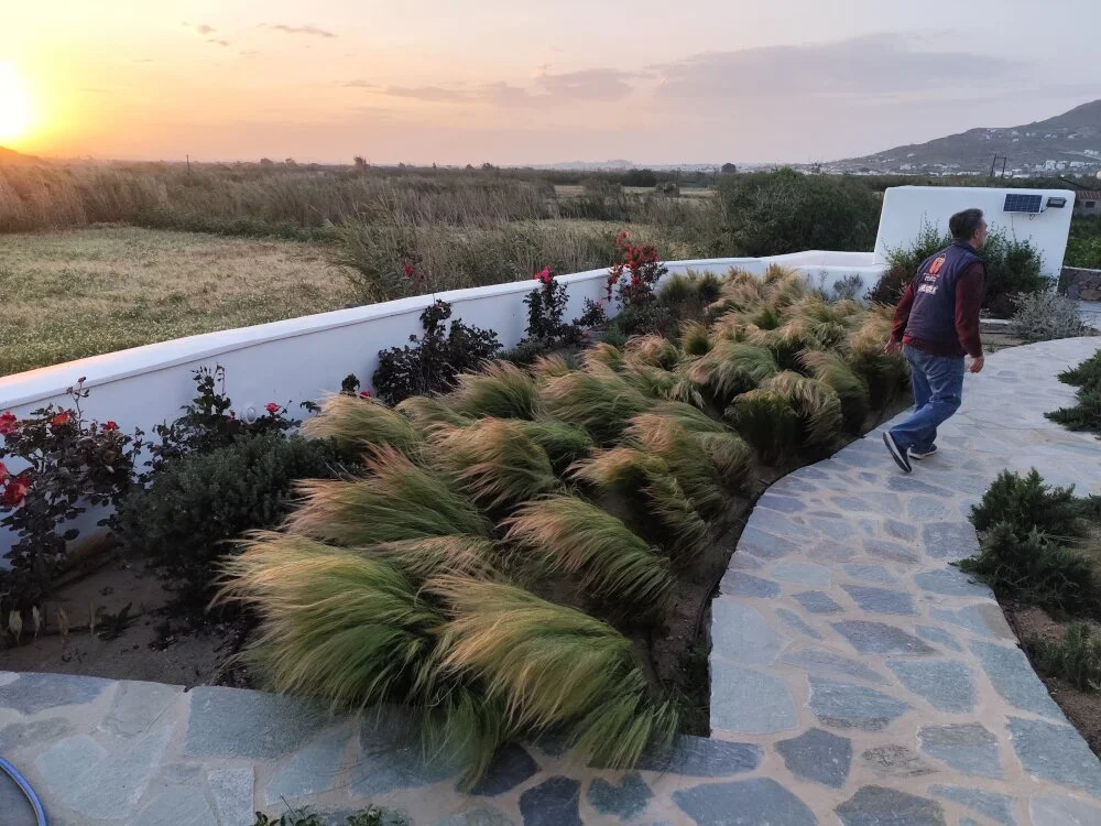 m702d-gr offline XXX-chat