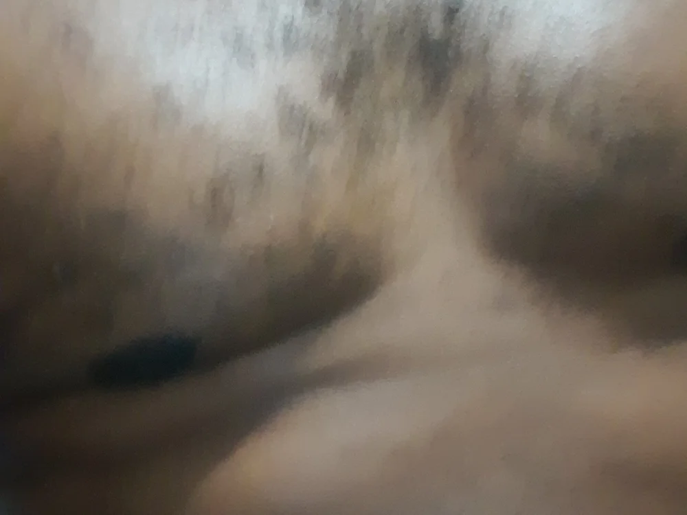 kadu2018