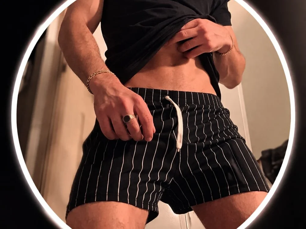 FINCHELABARCAVA cam model