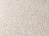 showing_show's webcam live show