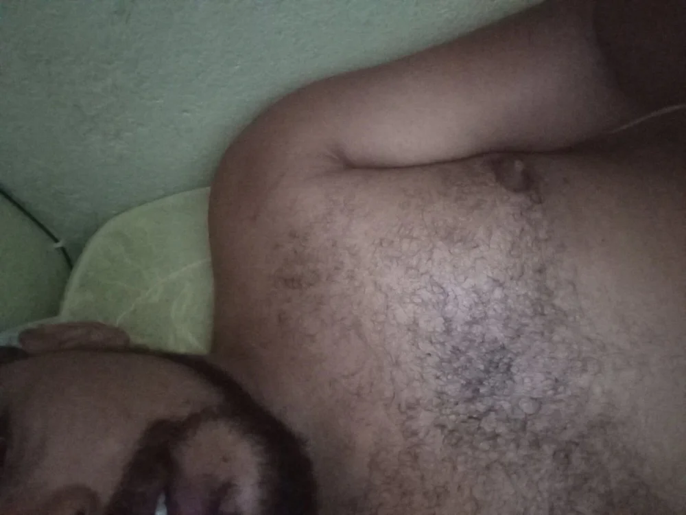 dim_rp1533 offline chatrum