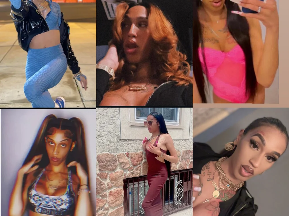 TsGeminii Chat XXX offline